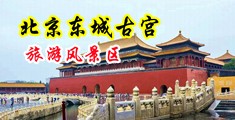 色逼射中国北京-东城古宫旅游风景区
