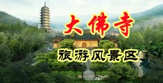 操逼的黄片儿看的的视频中国浙江-新昌大佛寺旅游风景区